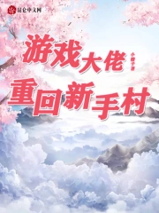 游戏大佬重回新手村